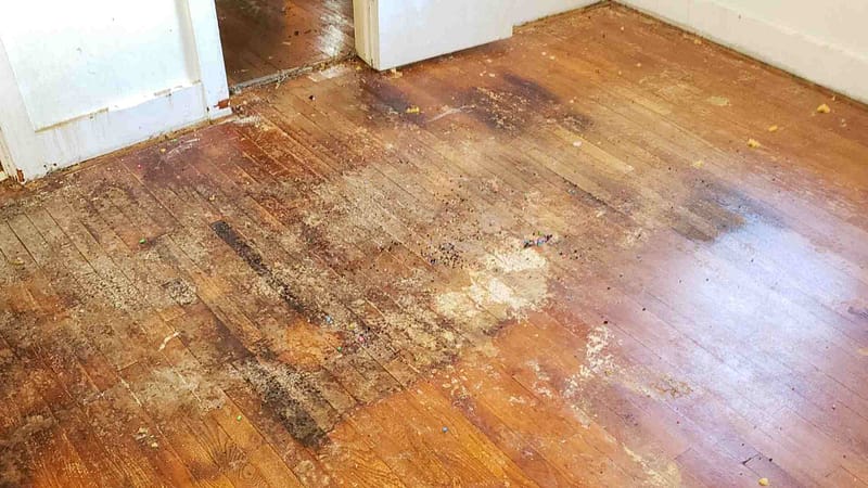 Damaged hardwood floors